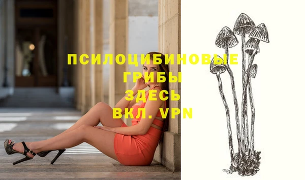 герыч Сосновый Бор